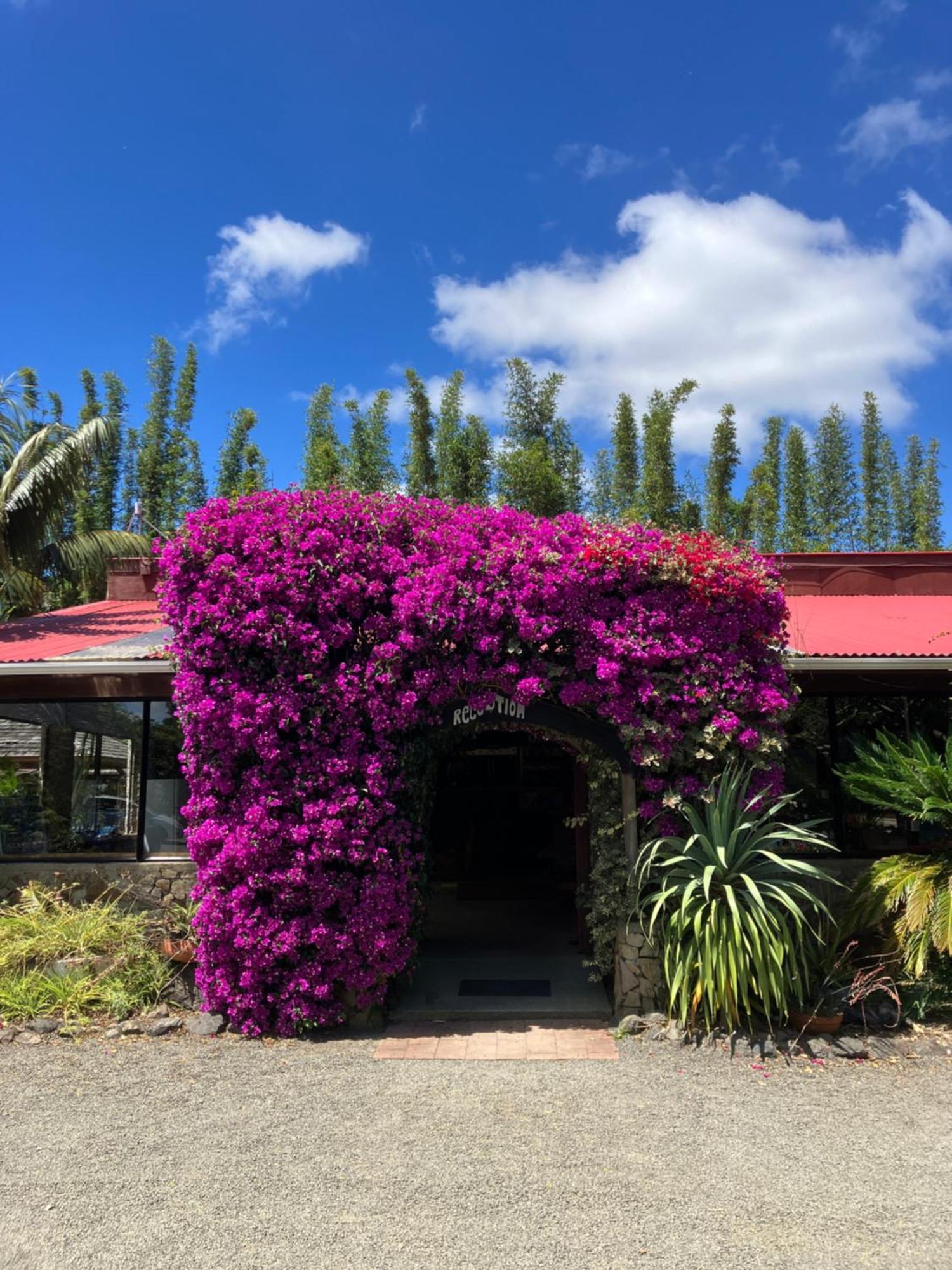Ahipara Holiday Park Exterior photo